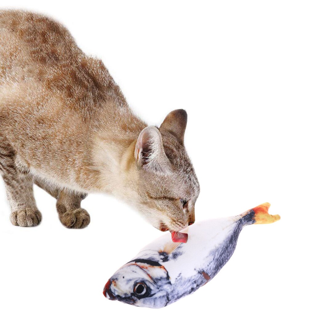 Dancing Fish Cat Toy