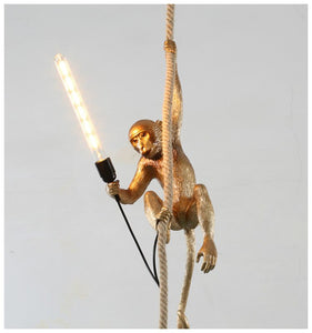 Monkey Lighting