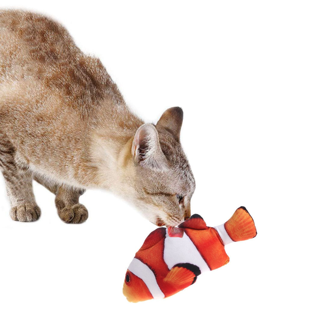 Dancing Fish Cat Toy