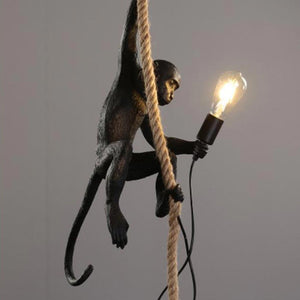 Monkey Lighting